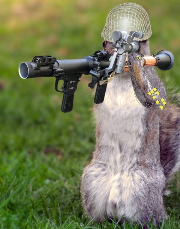 10 10