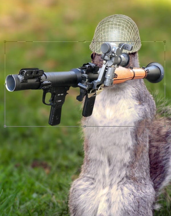 7 7