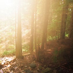 Morning Glow Photoshop Tutorial Morning Glow Photoshop Tutorial