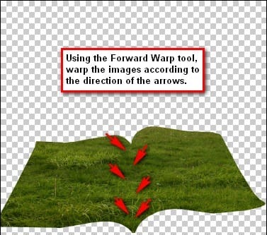 step4L_warp_process step4L_warp_process