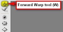 step4j_forward_warp_tool step4j_forward_warp_tool