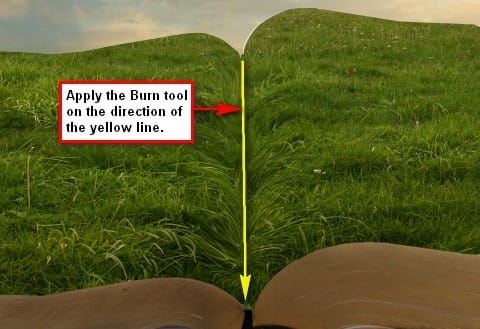 step4p_burn_this_area_2 step4p_burn_this_area_2