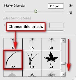 step5n0_choose_this_brush step5n0_choose_this_brush