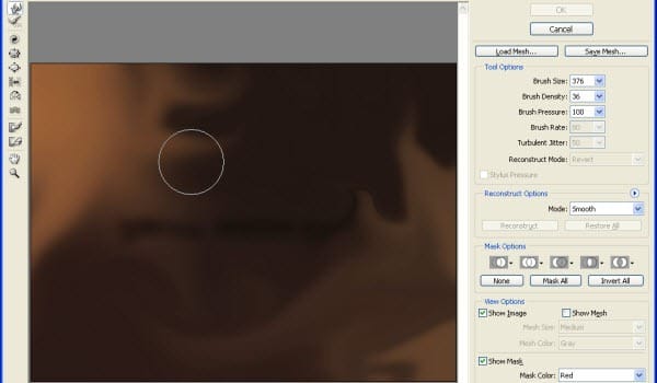 3 Liquify tool settings 3 Liquify tool settings