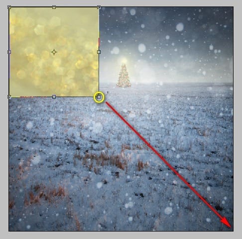 step5b
