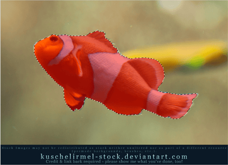 clip_image063 clip_image063
