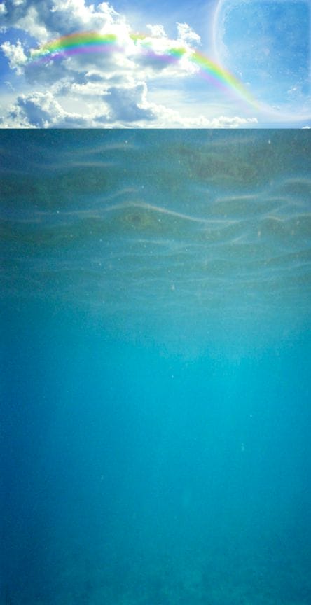 image020 image020