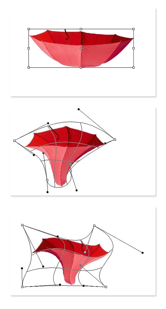 step3 step3