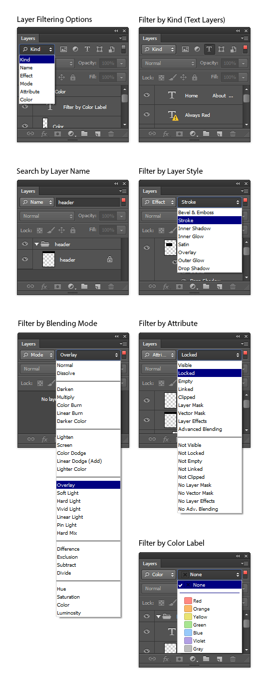 Filtering options in the Layers palette