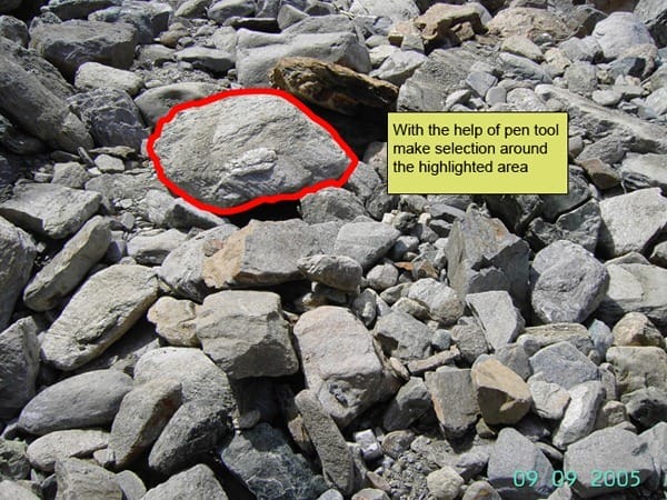 Digital StillCamera Digital StillCamera