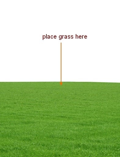 image004 image004