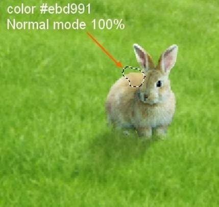 image154 image154