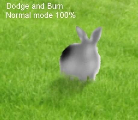 image156 image156