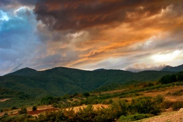 final-results final-results