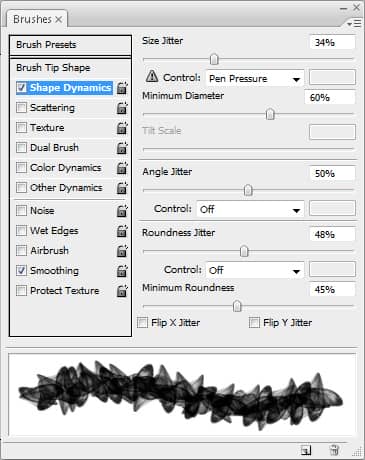 Brush options - Shape Dynamics