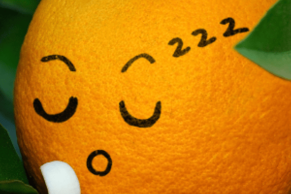 Closeup of sleeping orange