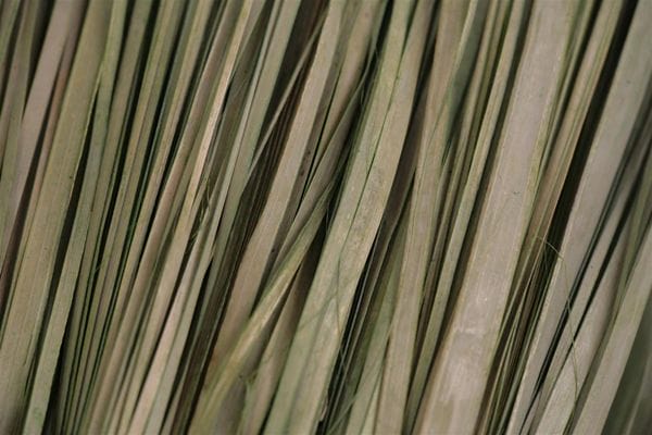 Dried grass texture with out of focus edges Dried grass texture with out of focus edges