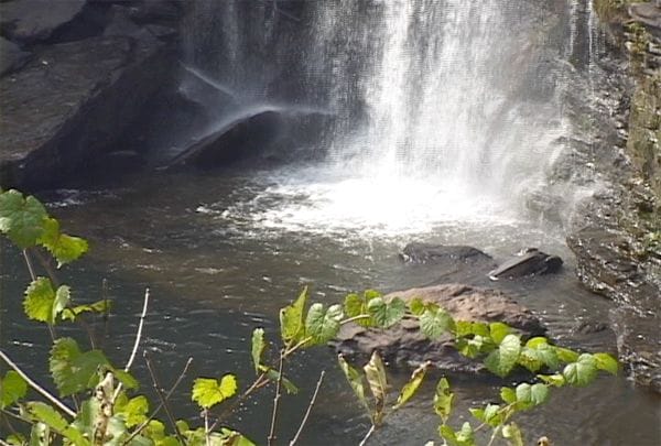 Little River Falls
