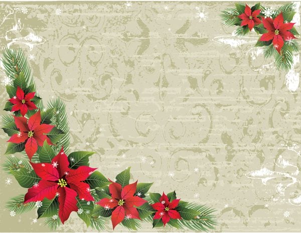 Poinsettia Background Poinsettia Background