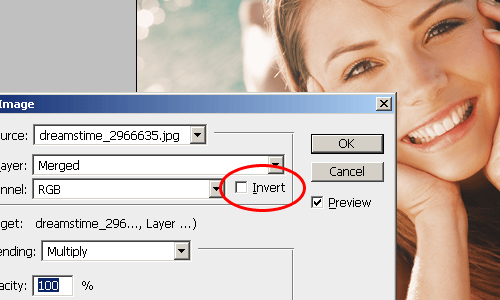 The invert option in the Apply Image tool