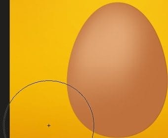 24 24