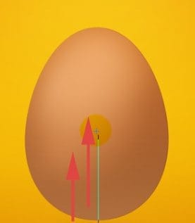 32 32