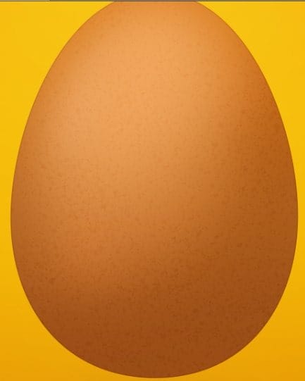 43 43