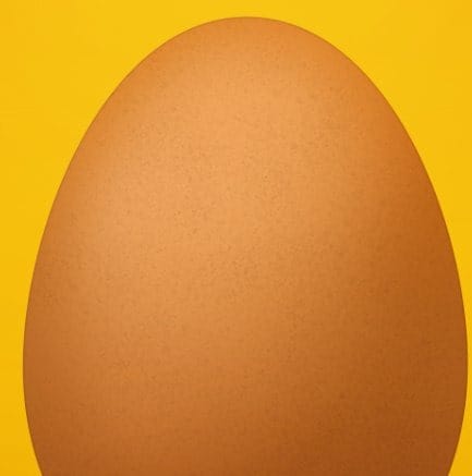 45 45