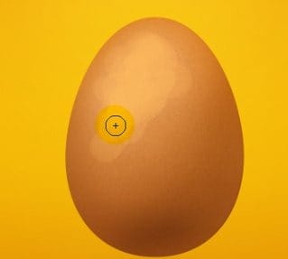 53 53