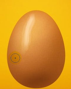 56 56