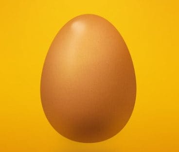 62 62