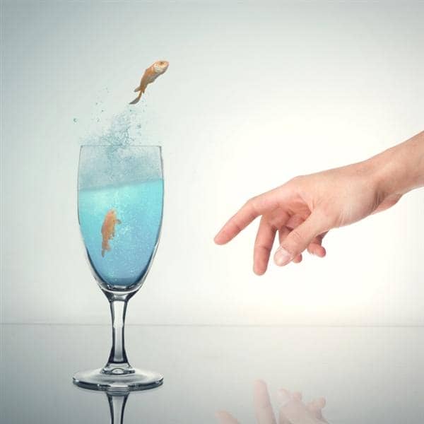 How to Make a Fish Jump Out of Water Photo-manipulation using Photoshop (Custom)