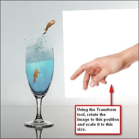 step6a_hand_transform step6a_hand_transform