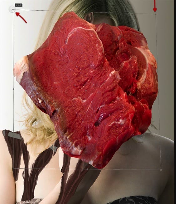 ScreenFlow 169 ScreenFlow 169