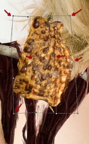 ScreenFlow 237 ScreenFlow 237