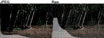 Raw vs JPEG Exposure