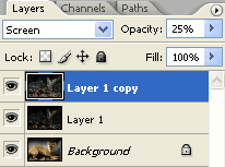 Layer inverted and opacity set to 25%.