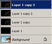 You should now have a total of 5 layers. You should now have a total of 5 layers.
