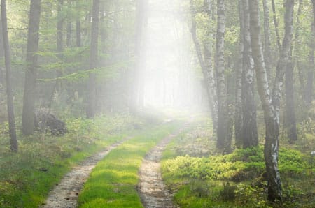 Fog Photoshop Tutorial Fog Photoshop Tutorial