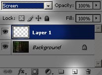 New Layer New Layer