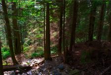 This is the image that will be used for this Photoshop tutorial. This is the image that will be used for this Photoshop tutorial.