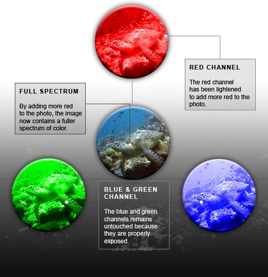 Underwater Diagram