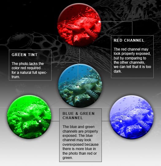 Channels in the underwater photo