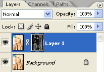 Find Edges filter applied to layer mask and inverted