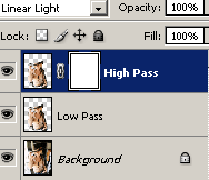 Layer Mask