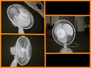 fan fan