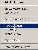 make_selection_pen_tool