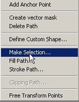 make_selection_pen_tool make_selection_pen_tool
