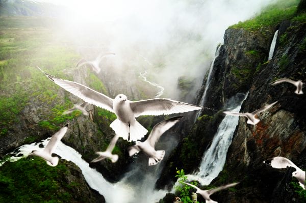 Blissful Landscape Blissful Landscape
