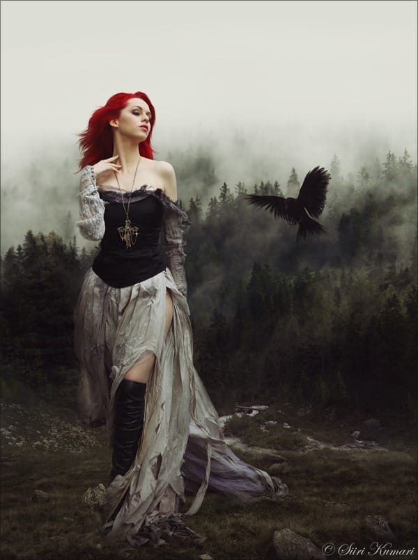 Into the Wild_600px Into the Wild_600px